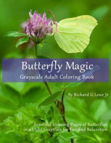 butterfly magic grayscale adult coloring book-9781946458001