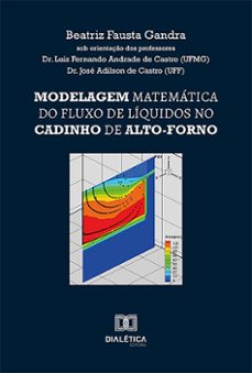 modelagem matematica do fluxo de liquidos no cadinho de alto-forno (ebook)-9786527003601