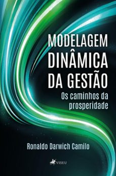 modelagem dinamica da gesto (ebook)-ronaldo darwich camilo-9786528028801