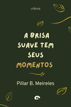 -pillar b. meireles-editora suik-9786583768001
