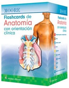moore. flashcards de anatomia con orientacion clinica-arthur f. dalley-9788410022201