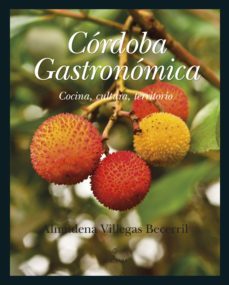 cordoba gastronomica-almudena villegas becerril-9788415338901