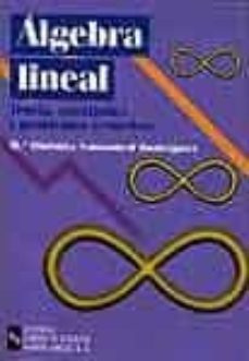 algebra lineal: teoria, cuestiones y problemas resueltos-maria obdulia samamed rodriguez-9788480043601