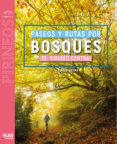 -juanjo sierra-9788482168401
