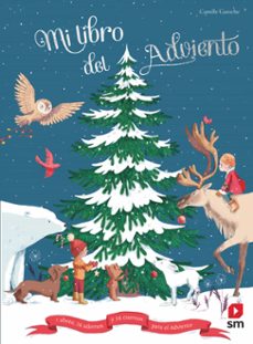 el libro de adviento-9788491079101