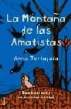 la montaña de las amatistas-9788495618801