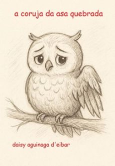 a coruja da asa quebrada (ebook)-daisy aguinaga d'eibar-3410008911111