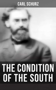 the condition of the south (ebook)-4064066396411