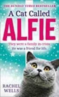 a cat called alfie-9780008369811