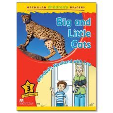 macmillan children s readers: big and little cats level 3-9780230469211