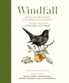 windfall-jane clarke-9781399729611