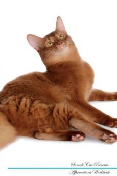 somali cat affirmations workbook somali cat presents-9781526975911
