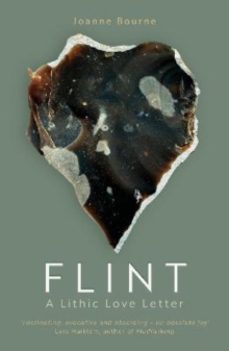 flint-joanne bourne-9781785634611