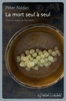 la mort seul a seul (ebook)-peter nadas-9782882508911