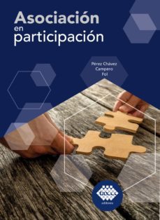 asociacion en participacion 2019 (ebook)-jose perez chavez-raymundo fol olguin-9786076293911