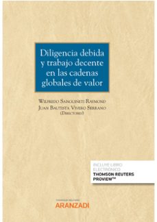 diligencia debida y trabajo decente en las cadenas globales de valor-wilfredo sanguineti raymond-9788411244411