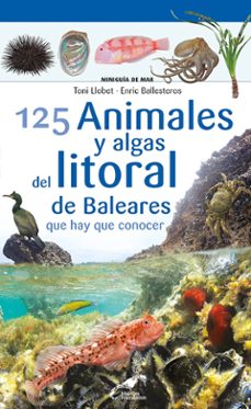 125 animales y algas del litoral de baleares que hay que conocer-9788413562711