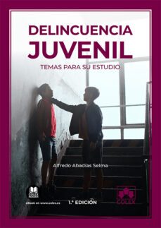 delincuencia juvenil-9788413591711