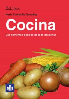 (i.b.d.) cocina: los alimentos basicos de toda despensa-9788417334611