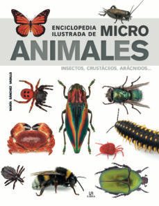 enciclopedia ilustrada de micro animales: insectos, crustaceos, a racnidos...-maria sanchez vadillo-9788466239011