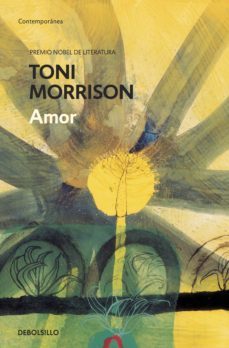 amor (ebook)-9788490623411