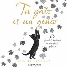 tu gato es un genio: 60 grandes lecciones de sabiduria gatuna-neil somerville-9788491394211