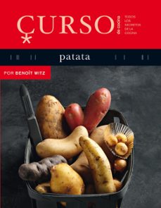 curso de cocina: patata-benoit witz-9788496669611