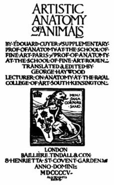 artistic anatomy of animals (ebook)-9791221315011