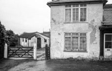 solomon's antiques and curiosities (ebook)-terry whitworth-9798232867911