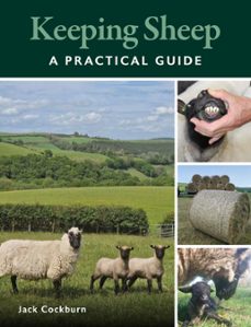 keeping sheep (ebook)-9780719842221