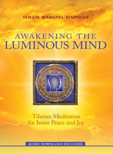 awakening the luminous mind (ebook)-tenzin wangyal rinpoche-9781401937621