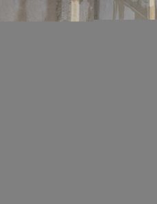 good food--fast! (ebook)-jason roberts-stacey colino-9781493015221