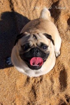 -9781526935021