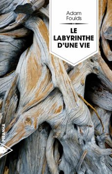 le labyrinthe d'une vie (ebook)-adam foulds-9782371192621