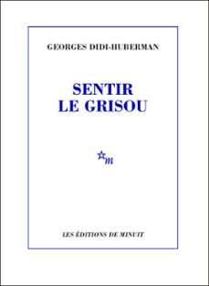 -georges didi huberman-9782707323521