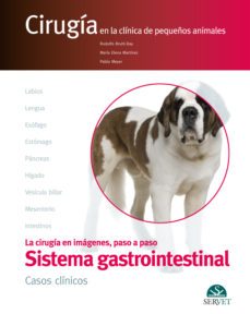el aparato digestivo.  casos clinicos. cirugia en la clinica de p equeños animales-rodolfo bruhl day-9788416315321