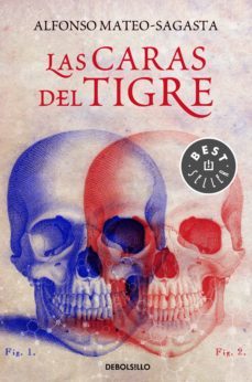 las caras del tigre (ebook)-alfonso mateo sagasta-9788466337021