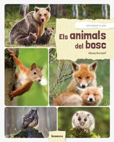 els animals del bosc -valencia--christine pompei-9788490268421