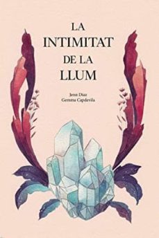 la intimitat de la llum-9788494958021