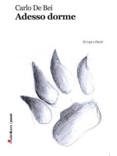 adesso dorme (ebook)-9788867407521