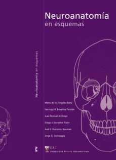 neuroanatomia en esquemas (ebook)-maria los angeles de baña-juan manuel di diego-santiago r. bovalina tecerran-9789873410321