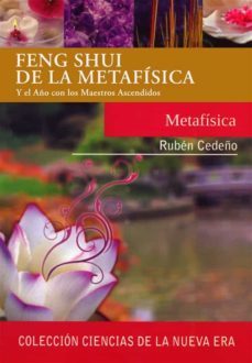 feng shui de la metafisica (ebook)-9789878471921