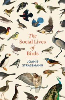 the social lives of birds-joan e. strassmann-9781035417131