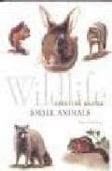 wildlife painting basics: small animals-9781581801231