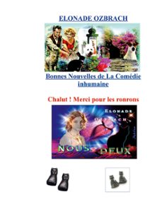 bonnes nouvelles de la comedie inhumaine (ebook)-9782322515431
