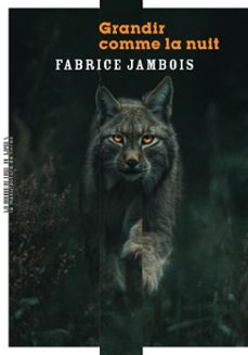 -fabrice jambois-9782385533731