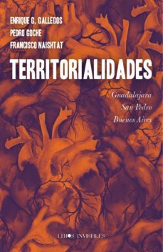 territorialidades (ebook)-enrique g. gallegos-pedro goche-francisco naishtat-9786079601331