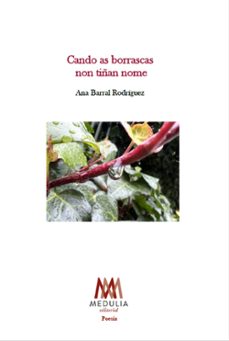 cando as borrascas non tiñan nome-ana barral-9788410324831