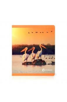 aves gran formato-9788412804331