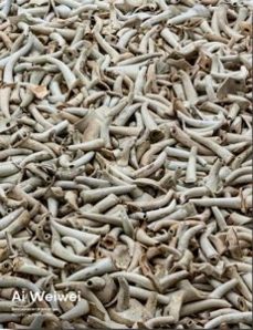 ai weiwei restablecer memorias (ed. bilingue español - ingles)-9788417047931